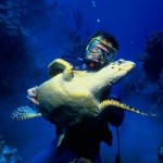 tortuga marina con buzo